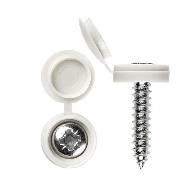 100 X Number Plates Screws And Caps (NOPLATE) - RaxAutos